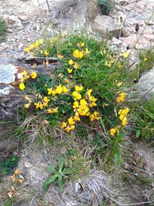 Click for stunning views of Croagh Patrick and Clew Bay in Co. Mayo, Ireland