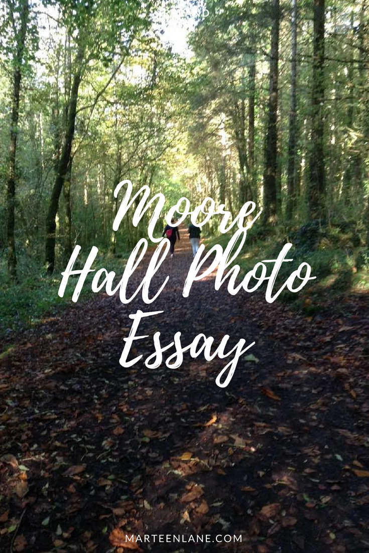 Step back in time to the landed gentry in Ireland with my Moore Hall Photo Essay.